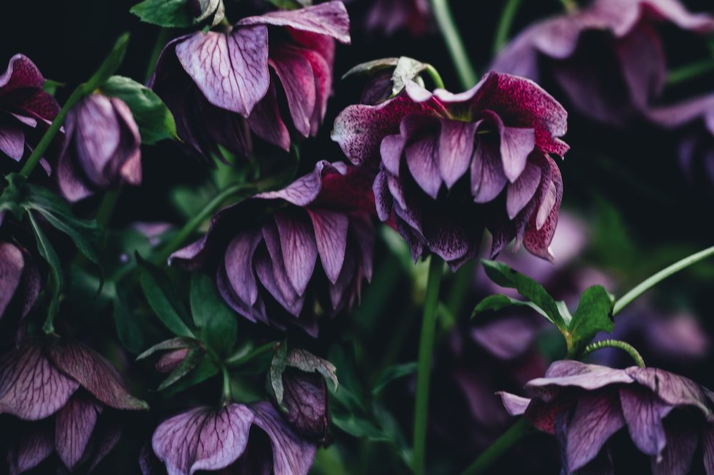 annie-spratt-H8n3KZ1griA-unsplash
